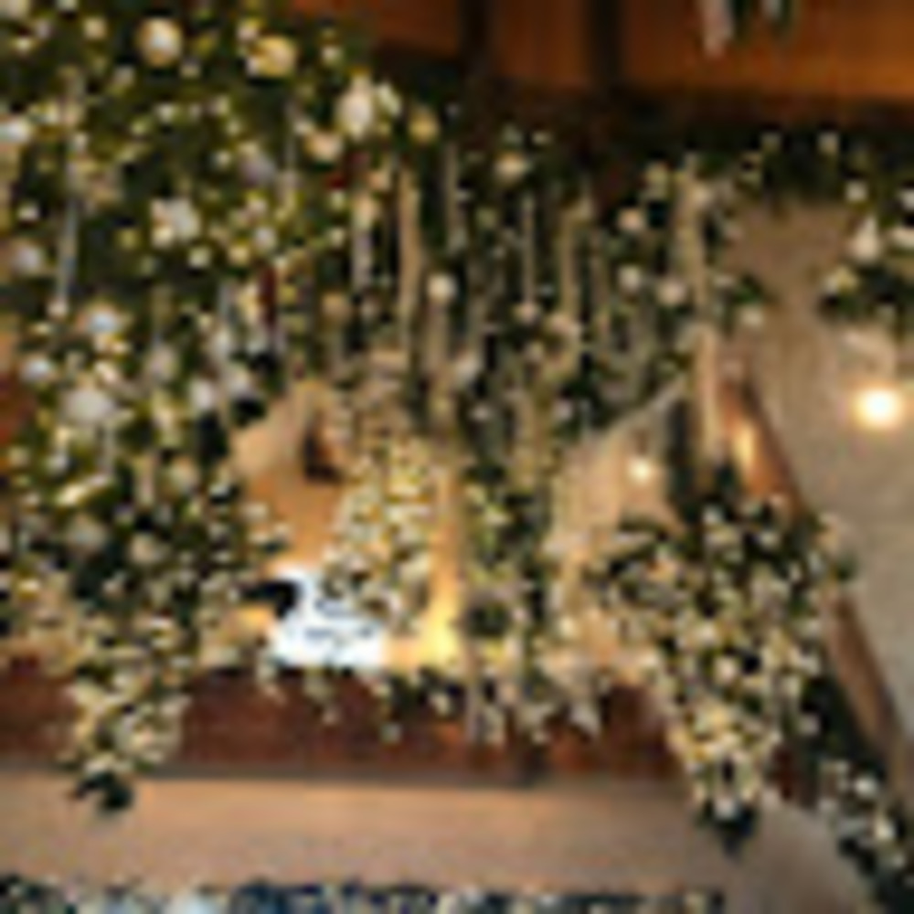 Meet your Posher, Mackenzie